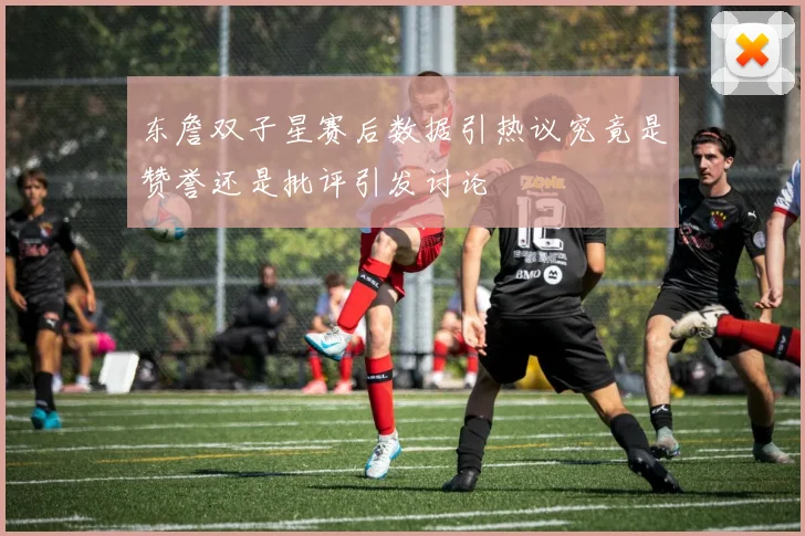 东詹双子星赛后数据引热议究竟是赞誉还是批评引发讨论