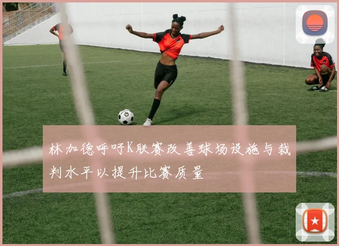 林加德呼吁K联赛改善球场设施与裁判水平以提升比赛质量