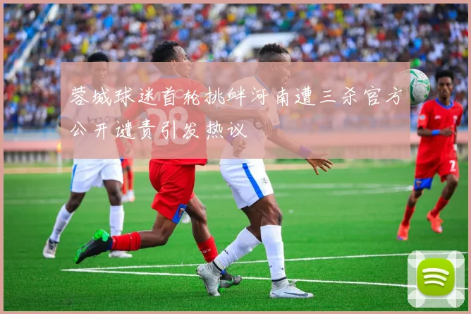 蓉城球迷首轮挑衅河南遭三杀官方公开谴责引发热议