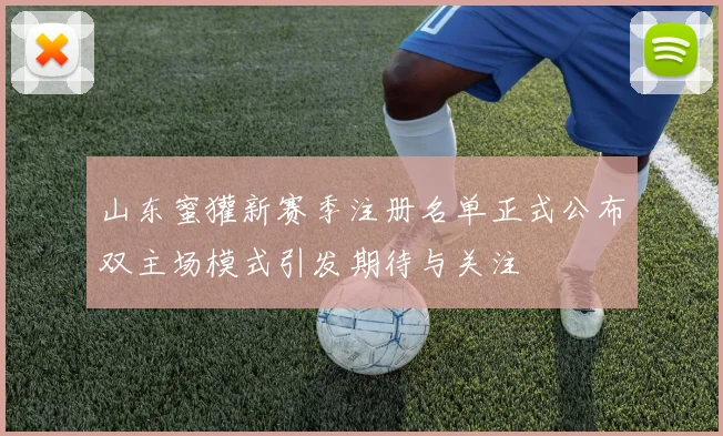 山东蜜獾新赛季注册名单正式公布双主场模式引发期待与关注