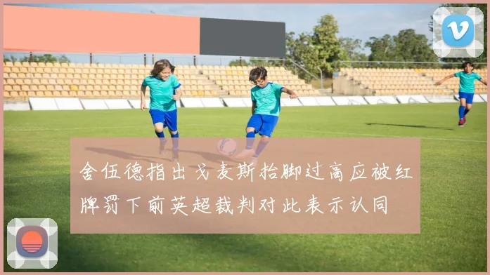舍伍德指出戈麦斯抬脚过高应被红牌罚下前英超裁判对此表示认同