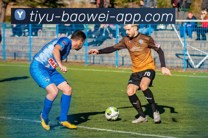 宝威体育平台生态图